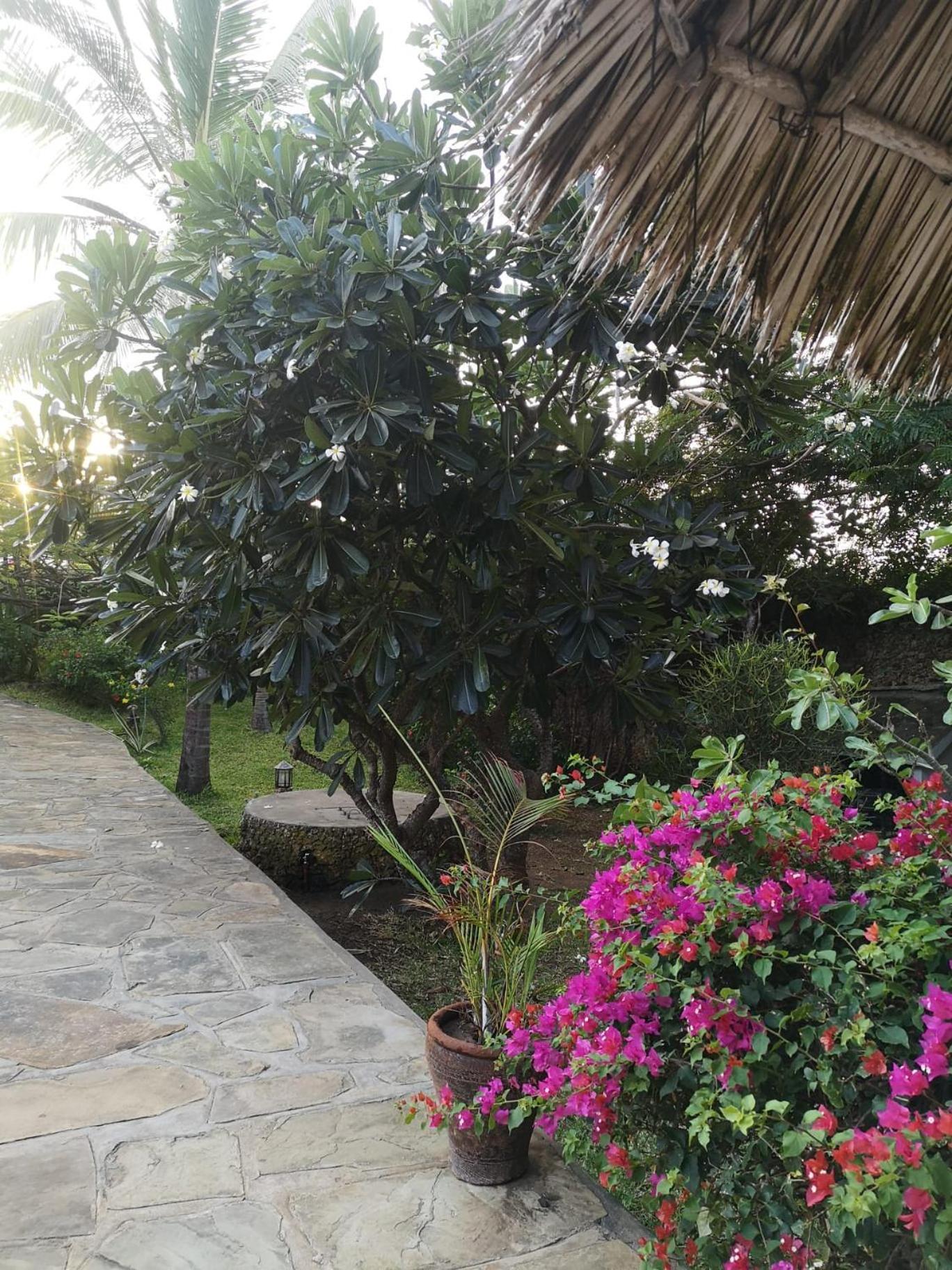הוילה מאלינדי Fulvia House מראה חיצוני תמונה