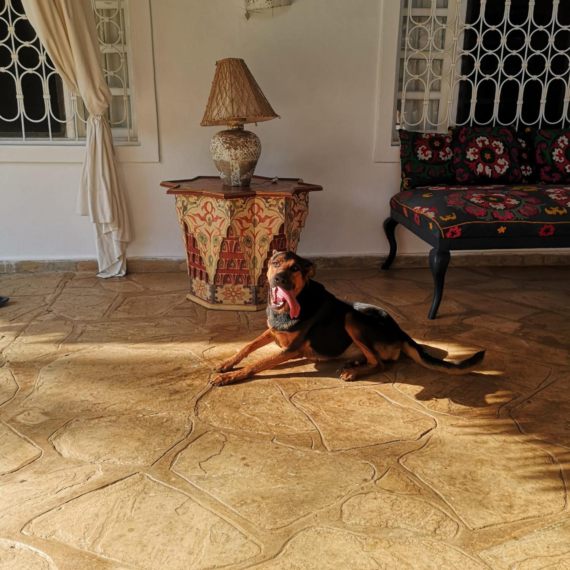 הוילה מאלינדי Fulvia House מראה חיצוני תמונה