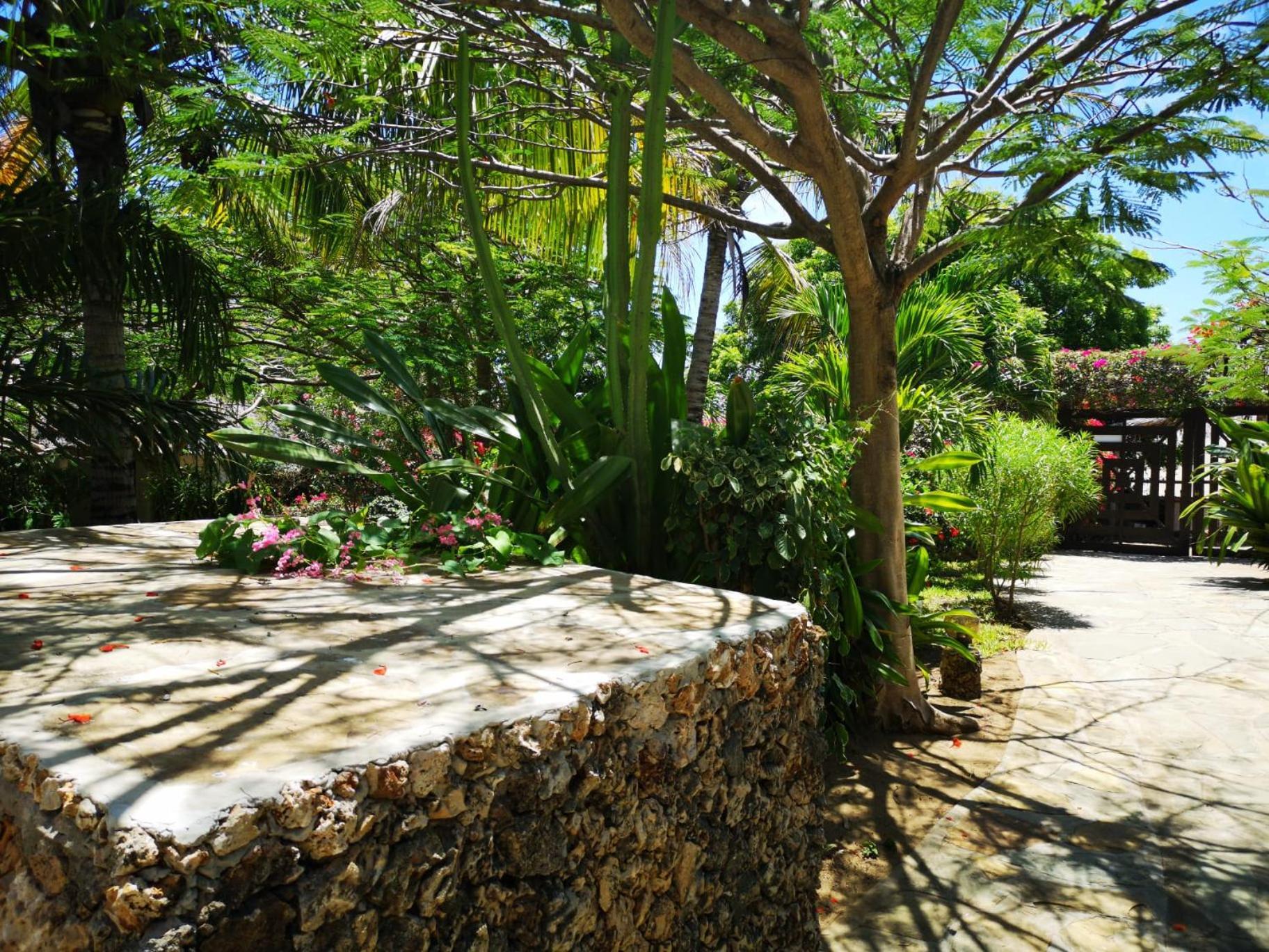 הוילה מאלינדי Fulvia House מראה חיצוני תמונה